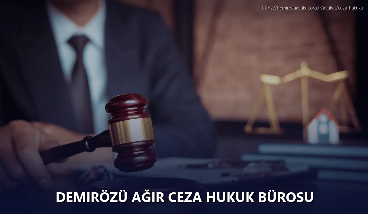 Demirözü Ağır Ceza Hukuk Bürosu