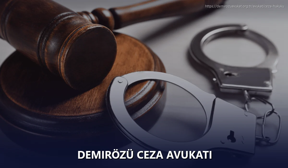 Demirözü Ceza Avukatı