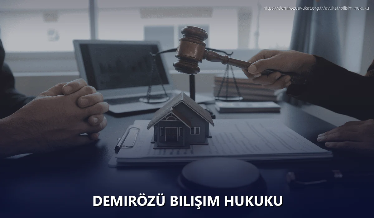 Demirözü Bilişim Hukuku