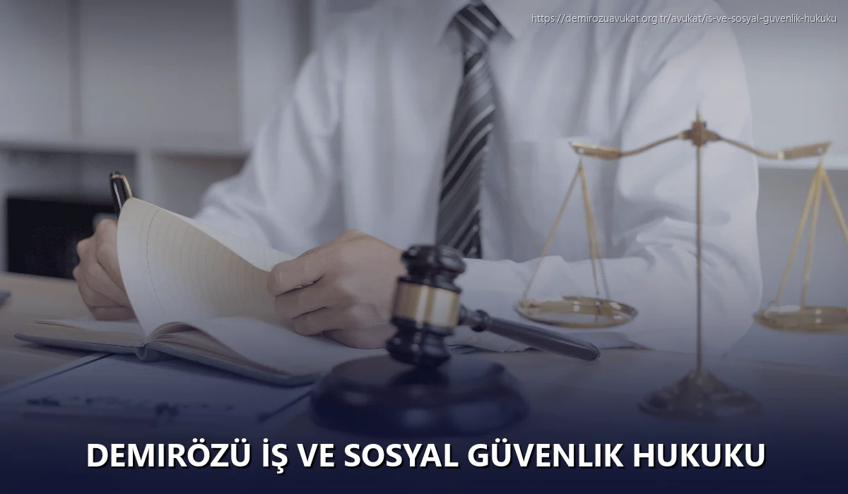Demirözü İş ve Sosyal Güvenlik Hukuku